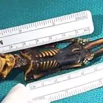 esqueleto alienígena