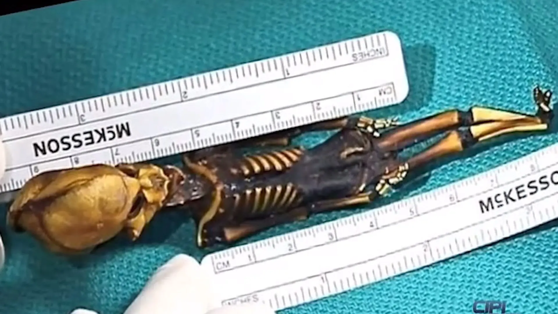 esqueleto alienígena