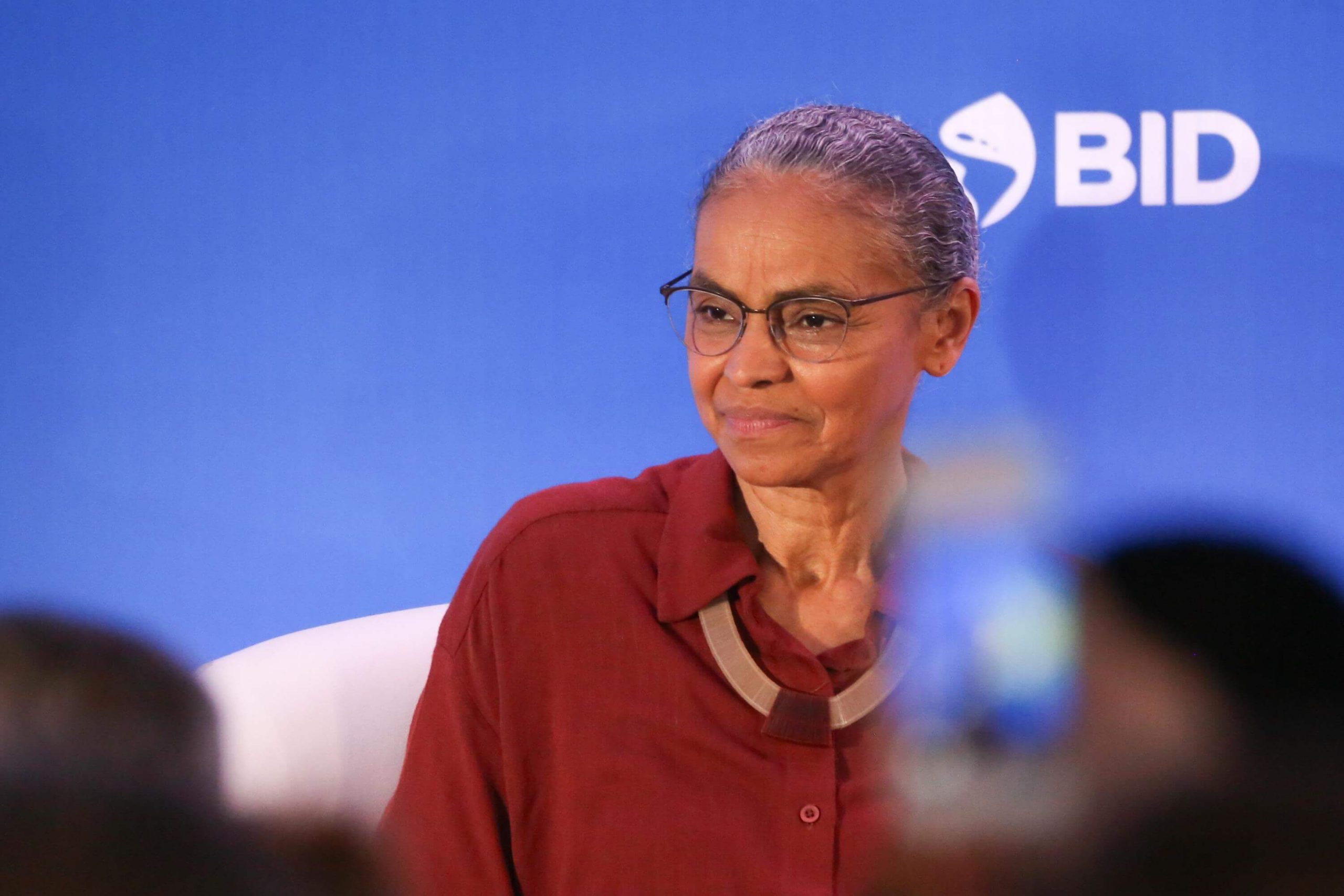 marina silva ong
