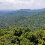ONGs Amazônia | A Amazônia do Brasil é alvo de cobiça internacional | Foto: Arquivo/Agência Brasil