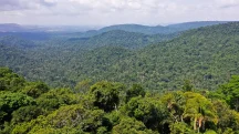 ONGs Amazônia | A Amazônia do Brasil é alvo de cobiça internacional | Foto: Arquivo/Agência Brasil
