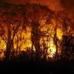 Pantanal incendio