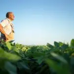 Agricultor | O superávit do agro paulista é fruto do aumento de 5,1% em nas exportações, que alcançaram US4 22,85 bilhões, e da redução de 0,7% nas importações, de acordo com o IEA | Foto: Reprodução/Freepik