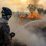 queimadas incêndios pantanal amazônia