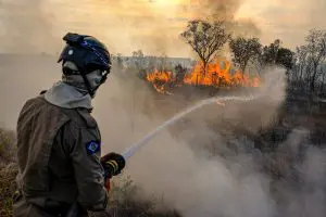 queimadas incêndios pantanal amazônia
