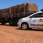 caminhoneiro maconha