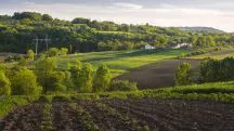 governo de são paulo - sp agro - agronegócio