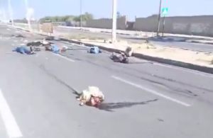 Hamas Crianças
