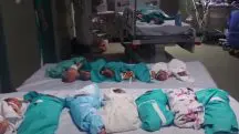 hospital Gaza bebes