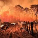 Queimadas aumentam em meio à paralisação no Ibama | Foto: Twitter/X/@Mi_L_again