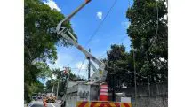queda de arvores Enel apagao