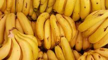Argentina bananeiros
