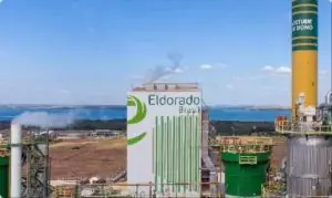 Eldorado Celulose