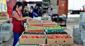 frutas para consumir no verão