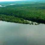 BNDES | De acordo com o Instituto Nacional de Pesquisas Espaciais (Inpe), o desmatamento na Região Amazônica cresceu 51,1% no mês de setembro frente ao mês de agosto | Foto: Mario Oliveira/MTUR