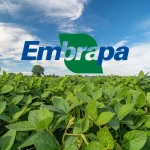 Embrapa | O aparelhamento na Embrapa coloca em risco uma das estatais mais respeitadas do Brasil, com reconhecimento mundial | Foto: Divulgação/Embrapa