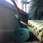 cobra árvore de natal austrália