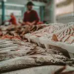 egito mercado pescados brasil