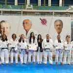 gracie jiu-jitsu 2