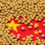 Soja; China