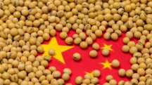 Soja; China