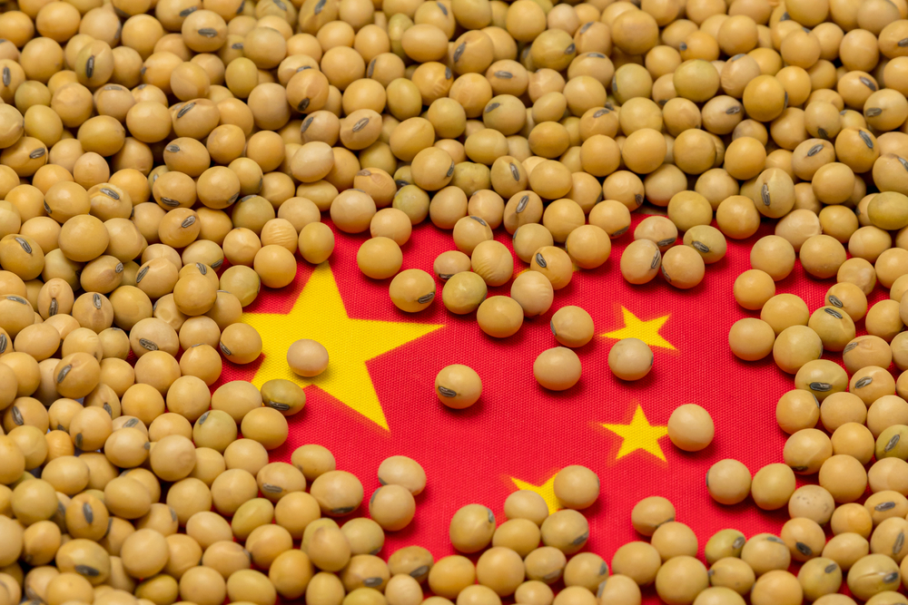 Soja; China