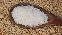Imagem meramente ilustrativa de uma colher de pau com arroz; grão que é tema de artigo sobre intervencionismo estatal