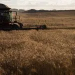 O agronegócio representa quase 30% do Produto Interno Bruto (PIB) brasileiro — e não para de crescer | Foto: Wenderson Araujo/Trlux/CNA