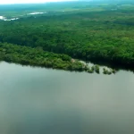 Agronegócio | Depois de cinco anos de luta, o Brasil conseguiu instalar uma Comissão Parlamentar de Inquérito (CPI) para investigar as organizações não governamentais (ONGs) que atuam na Amazônia | Foto: Mario Oliveira/MTUR