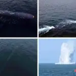 Coreia do Norte testes subaquaticos