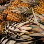 abacaxi - a força do agro