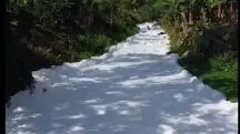 rio joinville