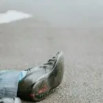 mortes trânsito são paulo