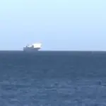 navio animais