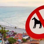 proíbem passeio animais