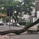 rio grande do sul