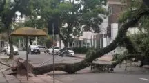 rio grande do sul