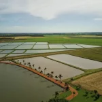 Foto da fazenda que serviu de cenário para novela da TV Globo