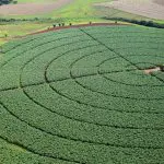 Agronegócio | Em A Força do Agro desta segunda-feira, 5, o espectador vai ver como o regulamento da UE pode afetar o Brasil | Foto: Raytton Alves/Agência Ana