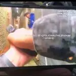 Rota | As imagens mostram Cosmo avançando por uma viela, quando surge um criminoso, vestido de azul. O bandido atira contra o rosto do policial e corre | Foto: Arquivo/Polícia Militar de São Paulo