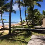 Casamento paradisíaca