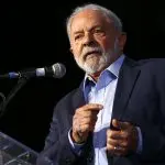Lula selvagens