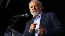 Lula selvagens