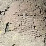 Pegadas preniténciária Mossoró