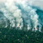 Amazônia incêndio - fundo amazônia