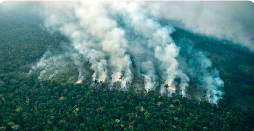 Amazônia incêndio - fundo amazônia