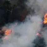 Incêndio Amazônia 2024