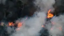 Incêndio Amazônia 2024