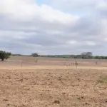 alertas