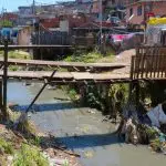 brasileiros banheiro